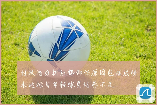 付政浩分析杜锋卸任原因包括成绩未达标与年轻球员培养不足